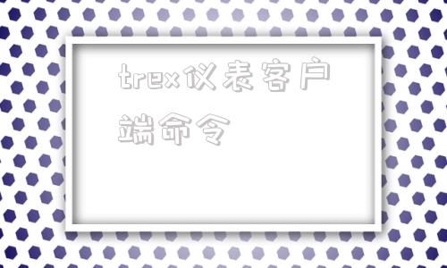 trex仪表客户端命令contronix仪表说明书